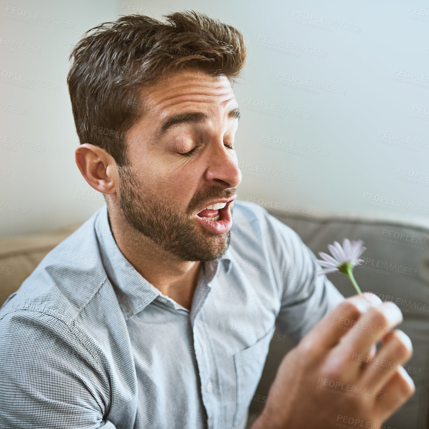 Buy stock photo Man, sick and sneeze with flower for allergy season, sinus problem and hay fever in living room. Male person, plant and pollen allergies in home with congestion, healthcare and medical crisis on sofa