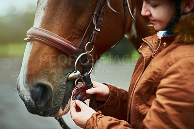 Buy stock photo Shot of a teenage girl preparing to ride her pony on a farm