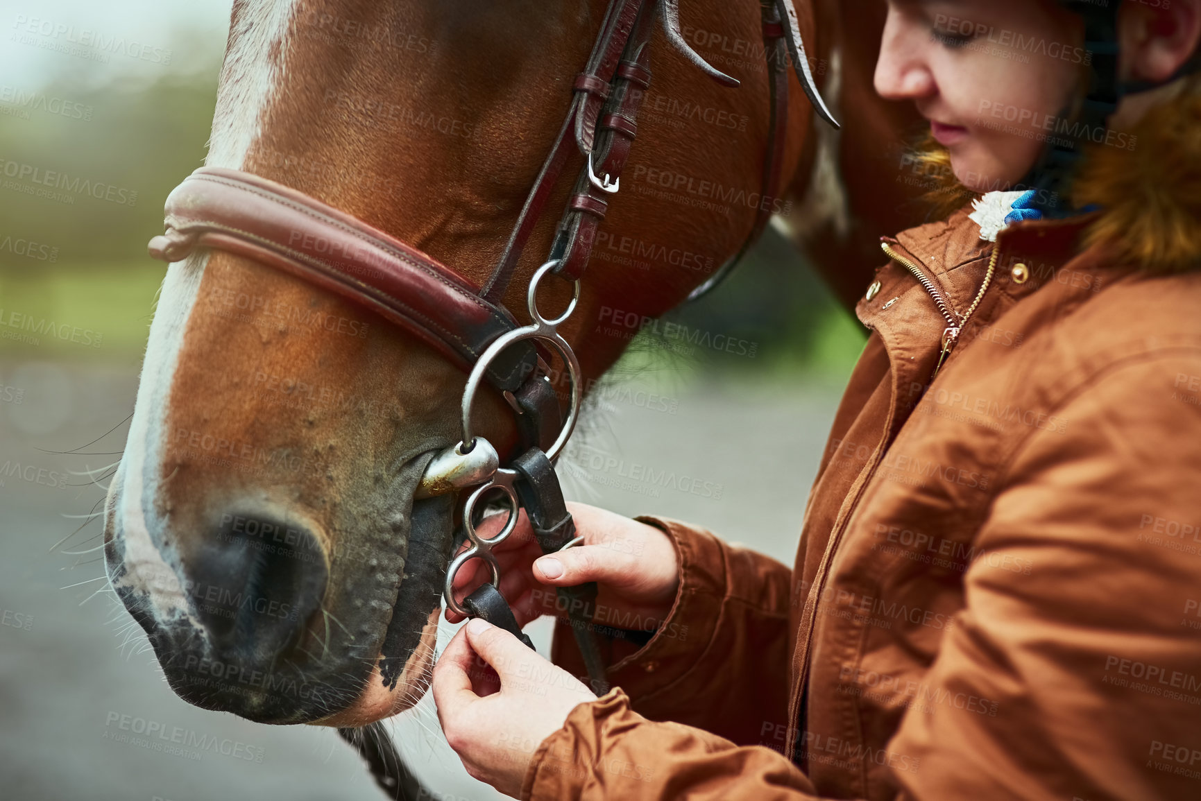 Buy stock photo Shot of a teenage girl preparing to ride her pony on a farm