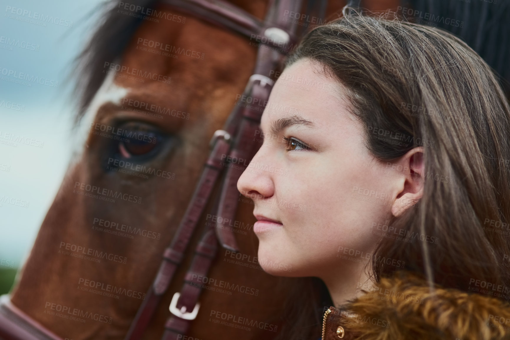 Buy stock photo Horse, woman and thinking on farm for riding sport, countryside training and equestrian development. Stallion, female rider and animal of exercise practice, wellness hobby and ranch outdoor of travel