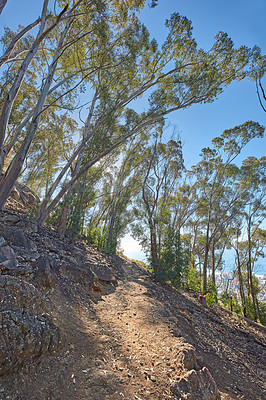 Buy stock photo Mountain trail - Table Mountain National Park