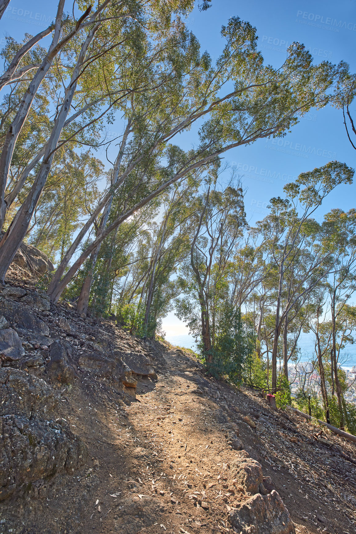 Buy stock photo Mountain trail - Table Mountain National Park