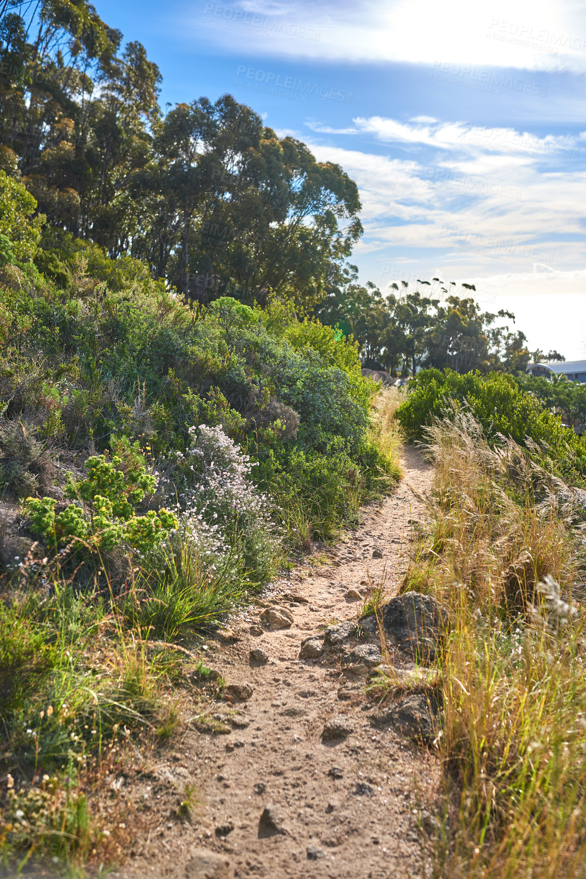 Buy stock photo Mountain trail - Table Mountain National Park