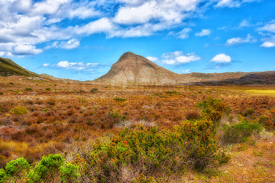 Buy stock photo The wilderness of Cape Point National Park 