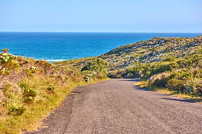 Buy stock photo The wilderness of Cape Point National Park 