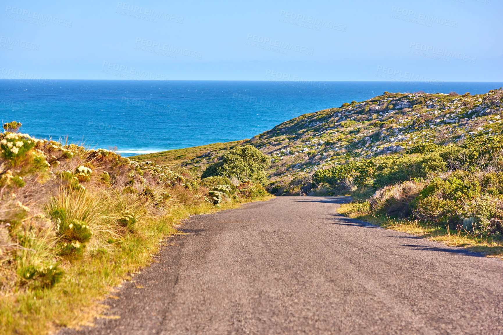 Buy stock photo The wilderness of Cape Point National Park 