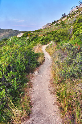 Buy stock photo Nature, hiking trail and plants on a mountain for an outdoor travel adventure in South Africa. Landscape, hill and gravel path for trekking journey with green trees in the scenic woods or forest.