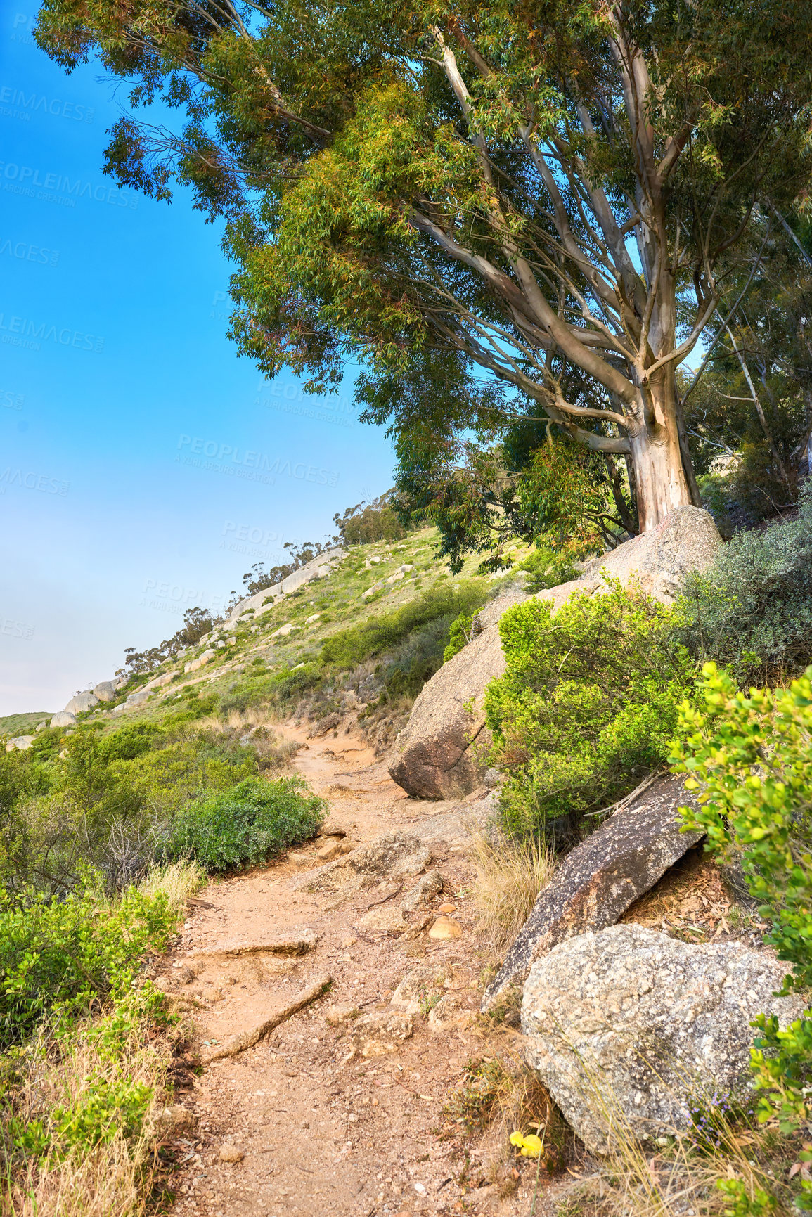 Buy stock photo Mountain trail - Table Mountain National Park