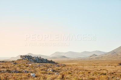 Buy stock photo The wilderness of Cape Point National Park 