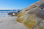 Dreamy beach - Camps Bay, Cape Town