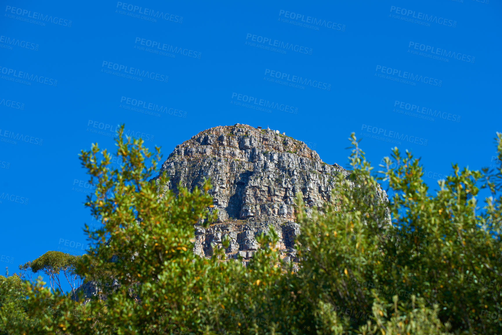 Buy stock photo Panorama of Lions Head in Table Mountain National Park, Cape Town, South Africa with copy space. Beautiful landscape view of a peak in a blue sky on a summer day with lush green plants or trees