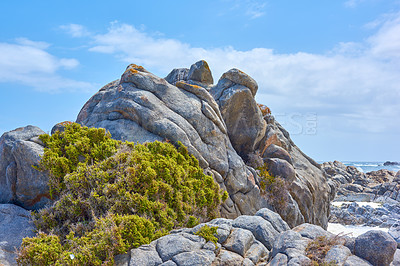 Buy stock photo A rocky coast with green lichens and waves rushing through shores hitting. An ocean with a rocky coast. View of a rocky Cape Town city coastline at sunset, Cape Town, South Africa.   