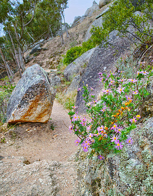 Buy stock photo Mountain trail - Table Mountain National Park