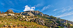 Lion's Head - Cape Town