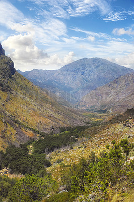 Buy stock photo The Cederberg Wilderness Area, managed by Cape Nature Conservation, is a wonderfully rugged mountain range about 200km north of Cape Town. Largely unspoiled, this designated wilderness area is characterised by high altitude fynbos and, not surprisingly, considering the name, sizeable cedar trees.