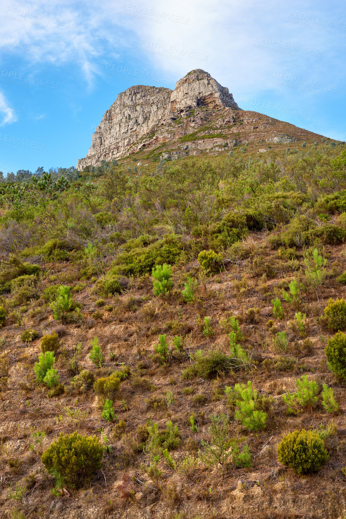 Buy stock photo Panorama of Lions Head - Table Mountain National Park, Cape Town, South Africa