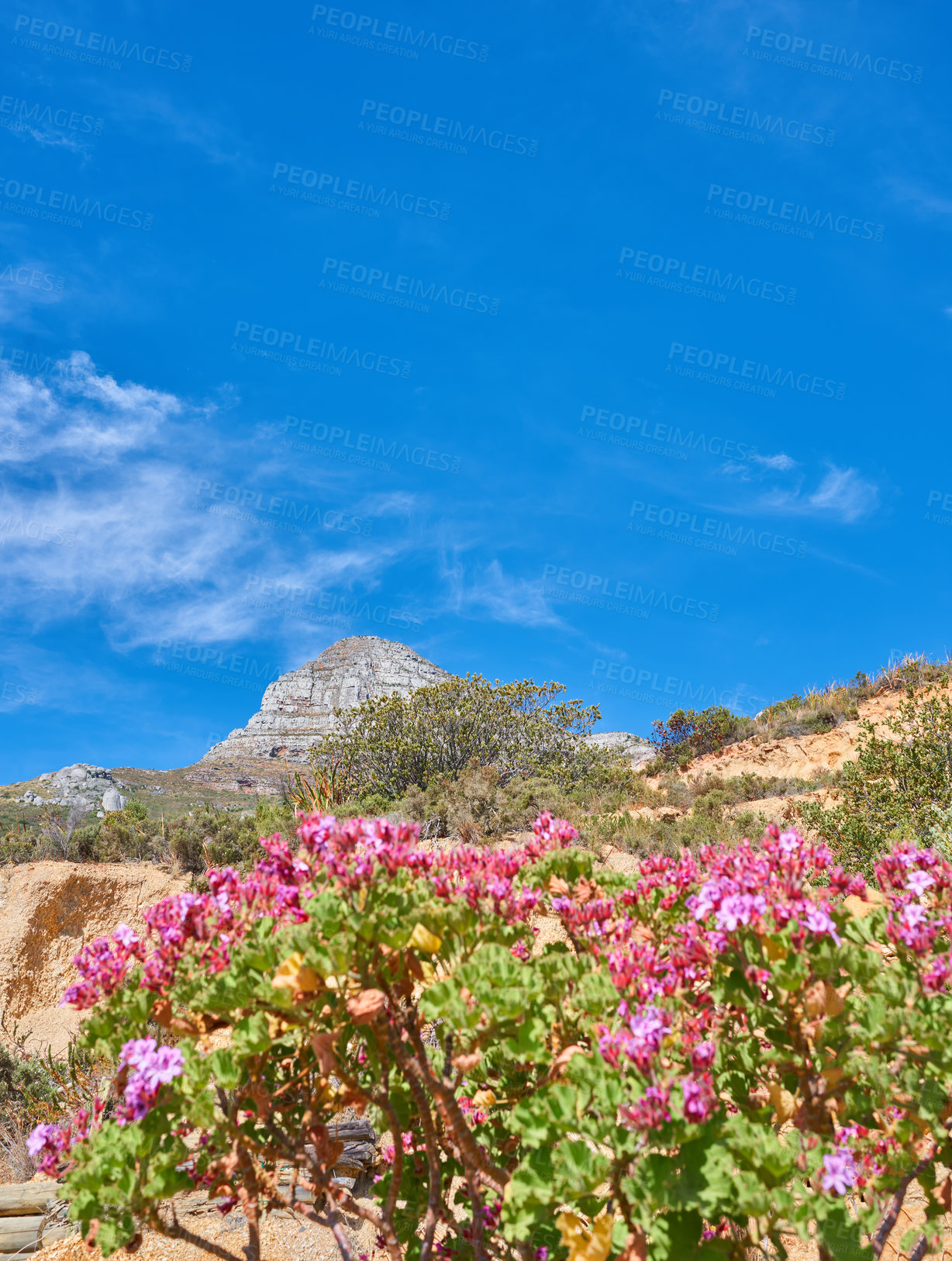 Buy stock photo Panorama of Lions Head - Table Mountain National Park, Cape Town, South Africa