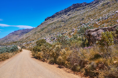 Buy stock photo The Cederberg Wilderness Area, managed by Cape Nature Conservation, is a wonderfully rugged mountain range about 200km north of Cape Town. Largely unspoiled, this designated wilderness area is characterised by high altitude fynbos and, not surprisingly, considering the name, sizeable cedar trees.