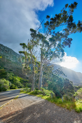 Buy stock photo Trees, road and blue sky with clouds on mountain for scenic view, scenery or wilderness in nature. Empty, path or street with gravel, leaves or grass field for ecosystem or eco friendly conservation