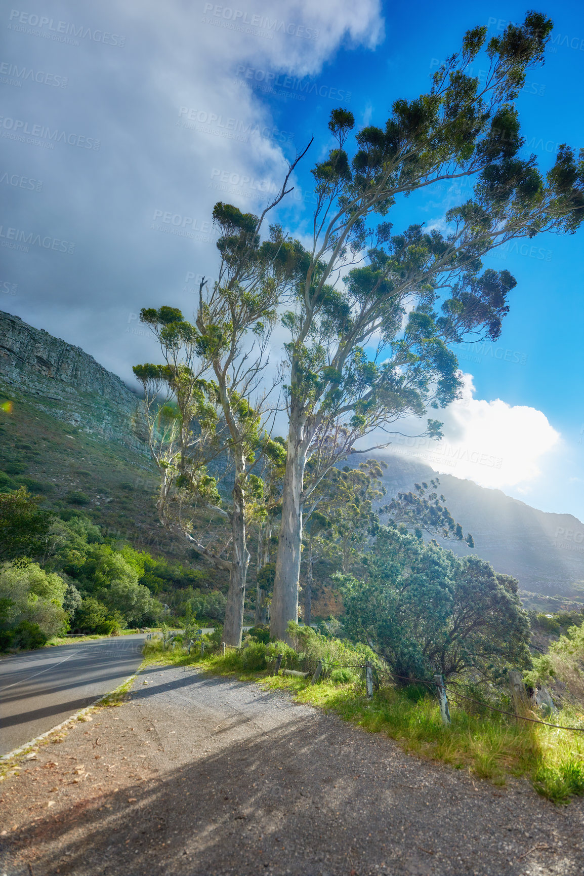 Buy stock photo Mountain trail - Table Mountain National Park