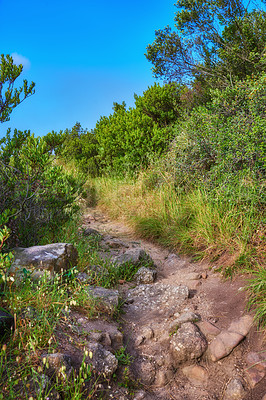 Buy stock photo Mountain trail - Table Mountain National Park