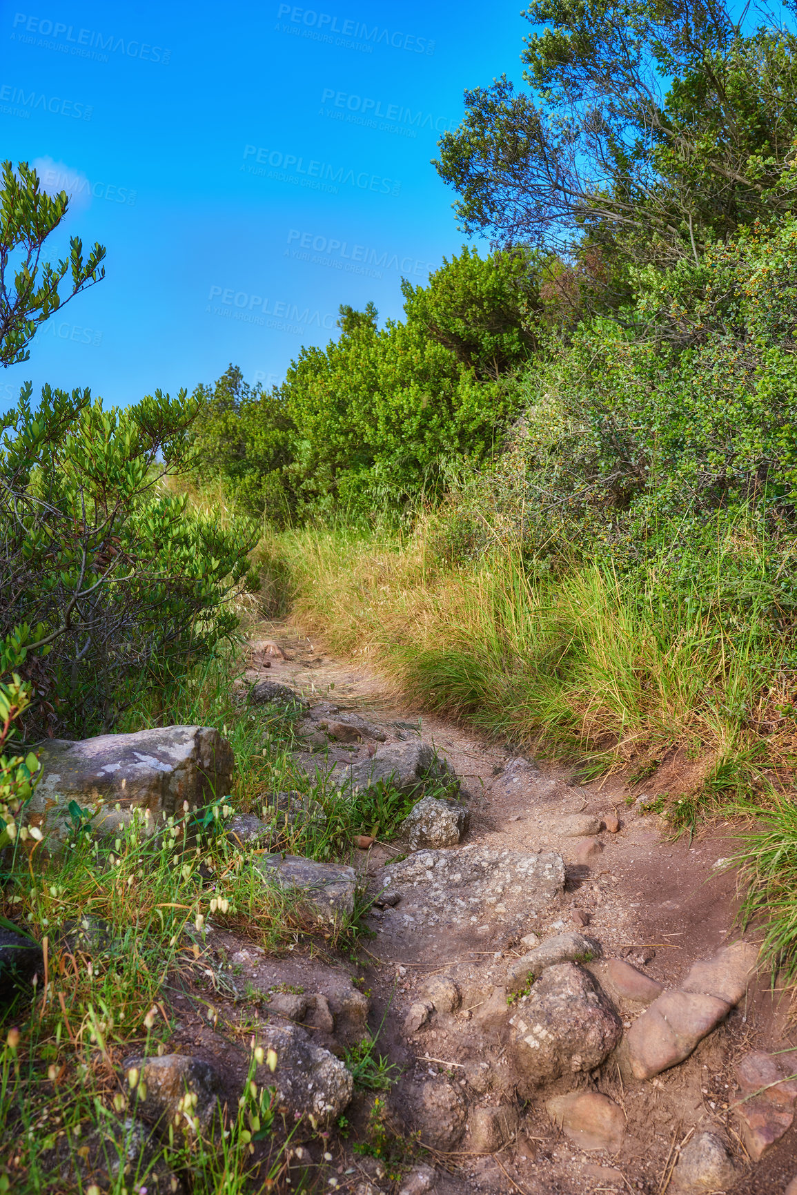 Buy stock photo Mountain trail - Table Mountain National Park