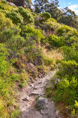 Buy stock photo Mountain trail - Table Mountain National Park