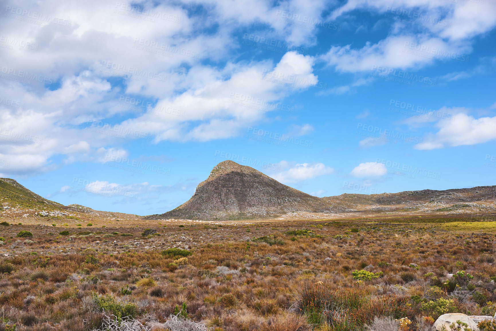 Buy stock photo The wilderness of Cape Point National Park 