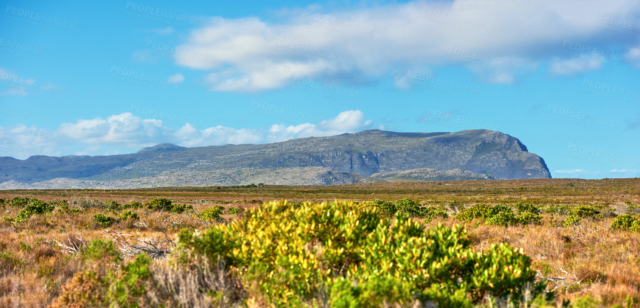 Buy stock photo The wilderness of Cape Point National Park 