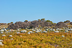 Cape Point National Park