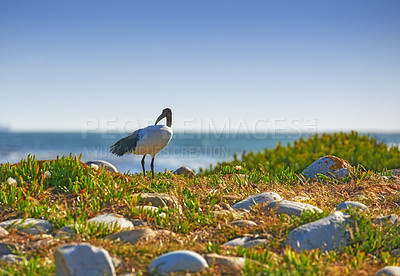 Buy stock photo Cropped shot capturing the beauty of Cape Town, South Africa