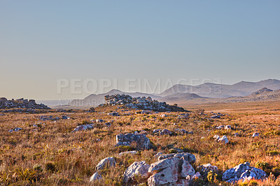 Buy stock photo Nature, mountain and sunset with field in park for landscape, environment or flowers. Bush, summer and wilderness with reserve in Cape Town ecology for floral habitat, sustainability and mockup space