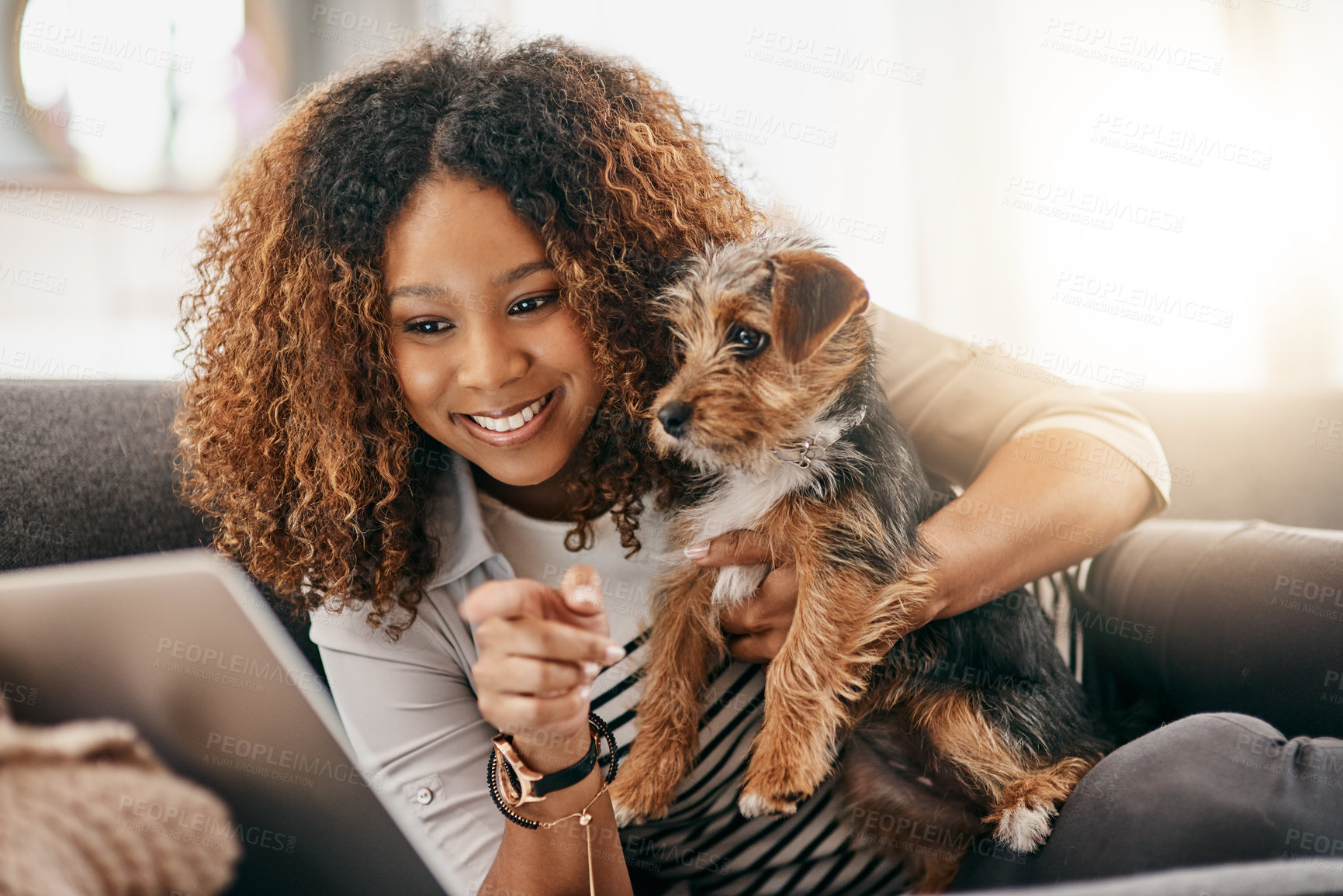 Buy stock photo Home, tablet and woman with dog on sofa for relaxing, chill and playing together. Best friend, animals and happy owner with Yorkshire Terrier on digital tech for pet website, bonding and fun