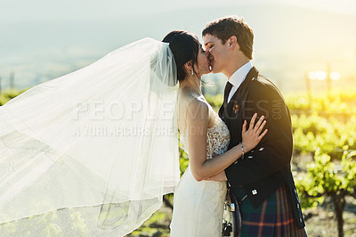 Buy stock photo Shot of a cheerful bride and groom sharing a kiss together outside next to vineyards during the day