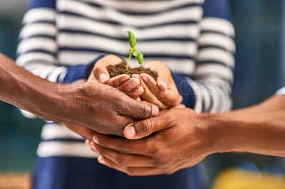 Buy stock photo Hands, people and soil with plants, sustainability and environment with agriculture, eco friendly or sapling. Closeup, outdoor or group with ecology, climate change activist or earth day with support