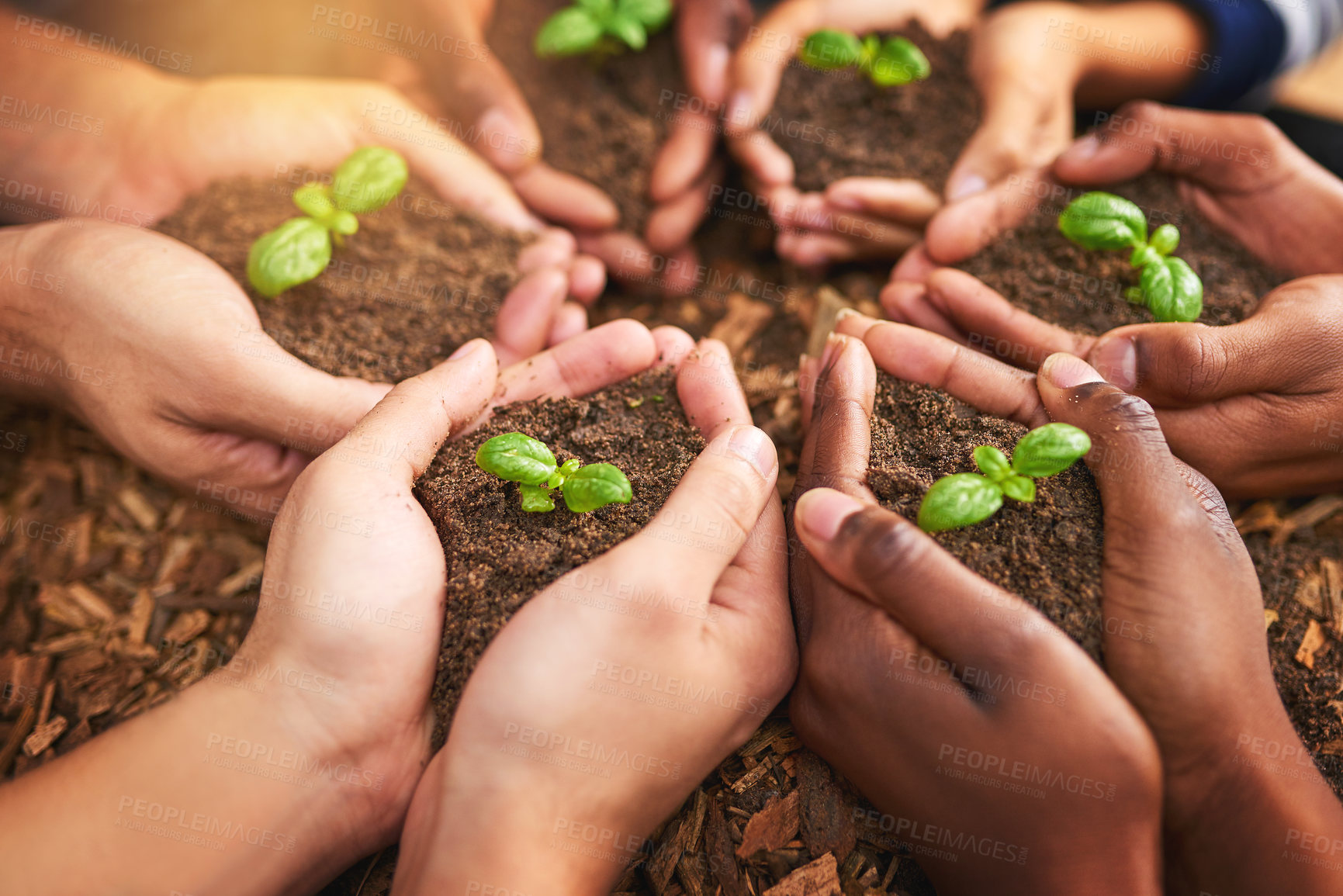 Buy stock photo Cropped shot of a group of people holding plants growing out of soil