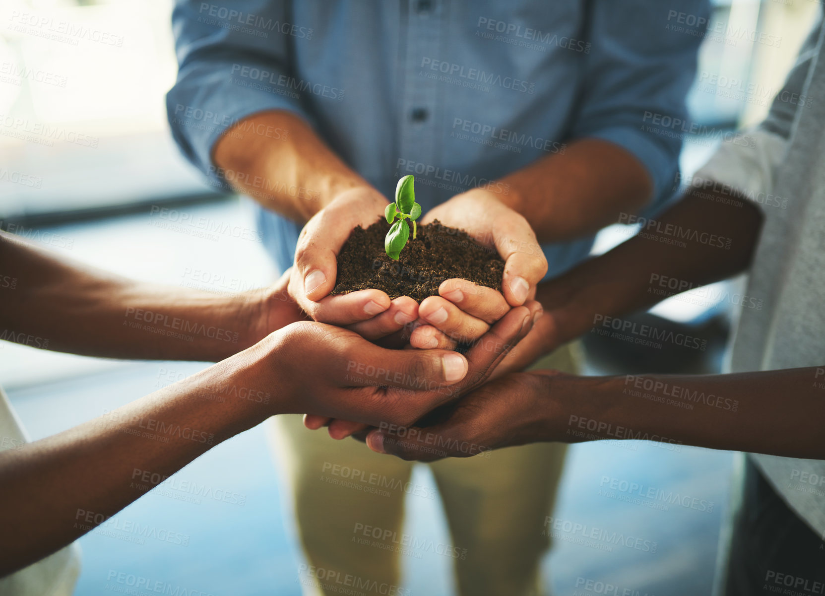 Buy stock photo Plant, soil and teamwork with hands of business people for support, earth or environment. Collaboration, growth and investment with closeup of employees for sustainability, partnership or community