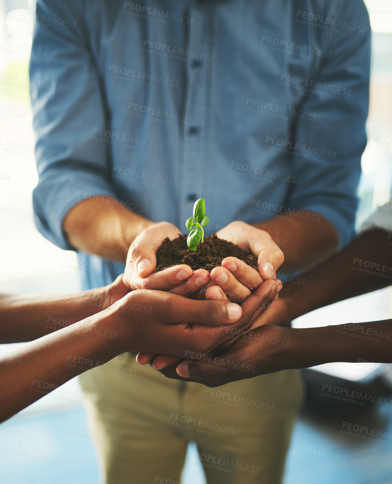 Buy stock photo Plant, sustainability and growth with hands of business people for teamwork, earth or environment. Collaboration, support and investment with employees and soil for future, partnership or community