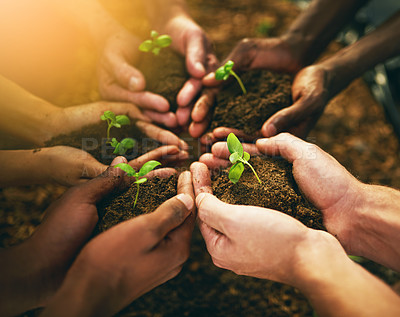 Buy stock photo Plant, sustainability and soil with hands of people for teamwork, earth and environment. Collaboration, growth and investment with friends in nature for future, partnership and community