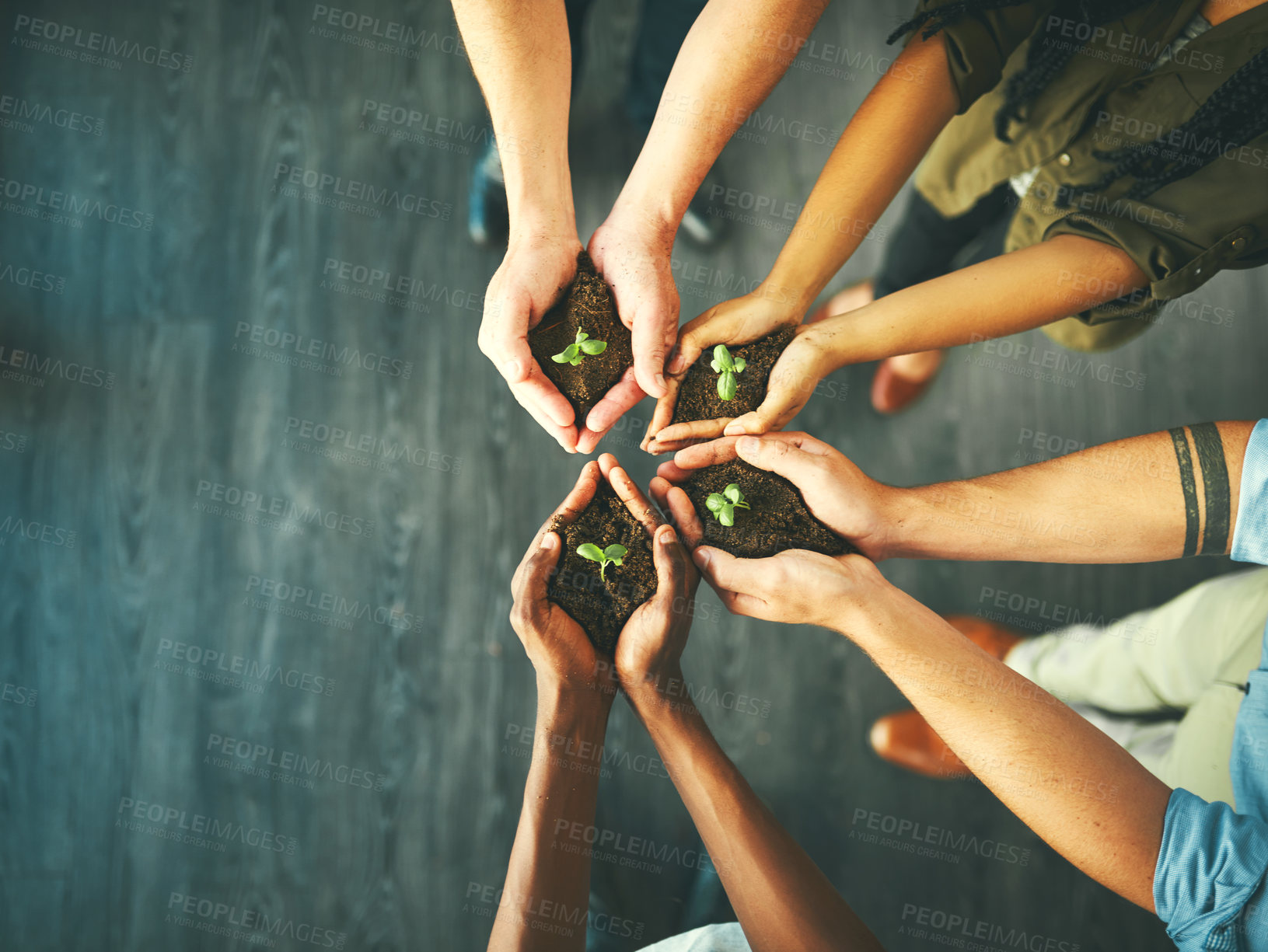 Buy stock photo Plant, sustainability and space with hands of business people for teamwork, earth or environment from above. Collaboration, growth and mockup with employees and soil for future, partnership or invest