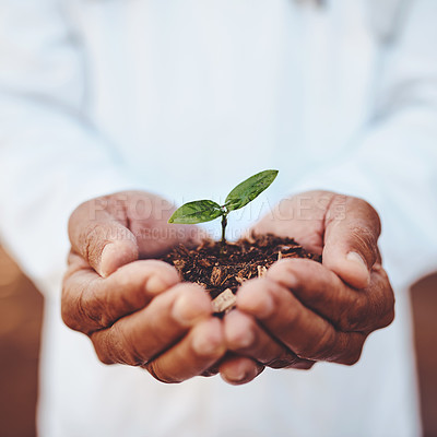 Buy stock photo Closeup shot of an unrecognizable doctor holding a plant growing out of soil