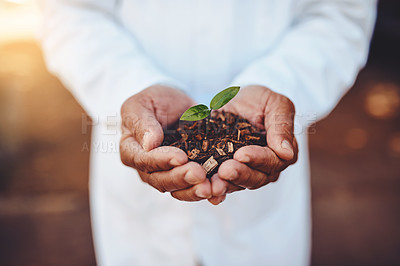 Buy stock photo Closeup shot of an unrecognizable doctor holding a plant growing out of soil