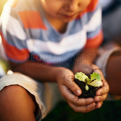 Buy stock photo Hands of child, soil or plant in garden for sustainability, agriculture care or farming development. Backyard, natural growth or closeup of blurry kid hand holding sand or planting for learning agro