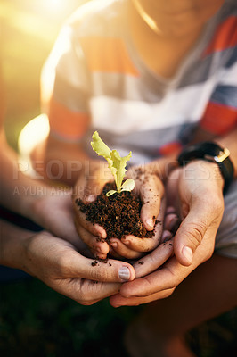 Buy stock photo Hands of family, soil or plant in garden for sustainability, agriculture care or farming development. Backyard, natural growth or closeup of parents hand holding sand or planting for teaching a child