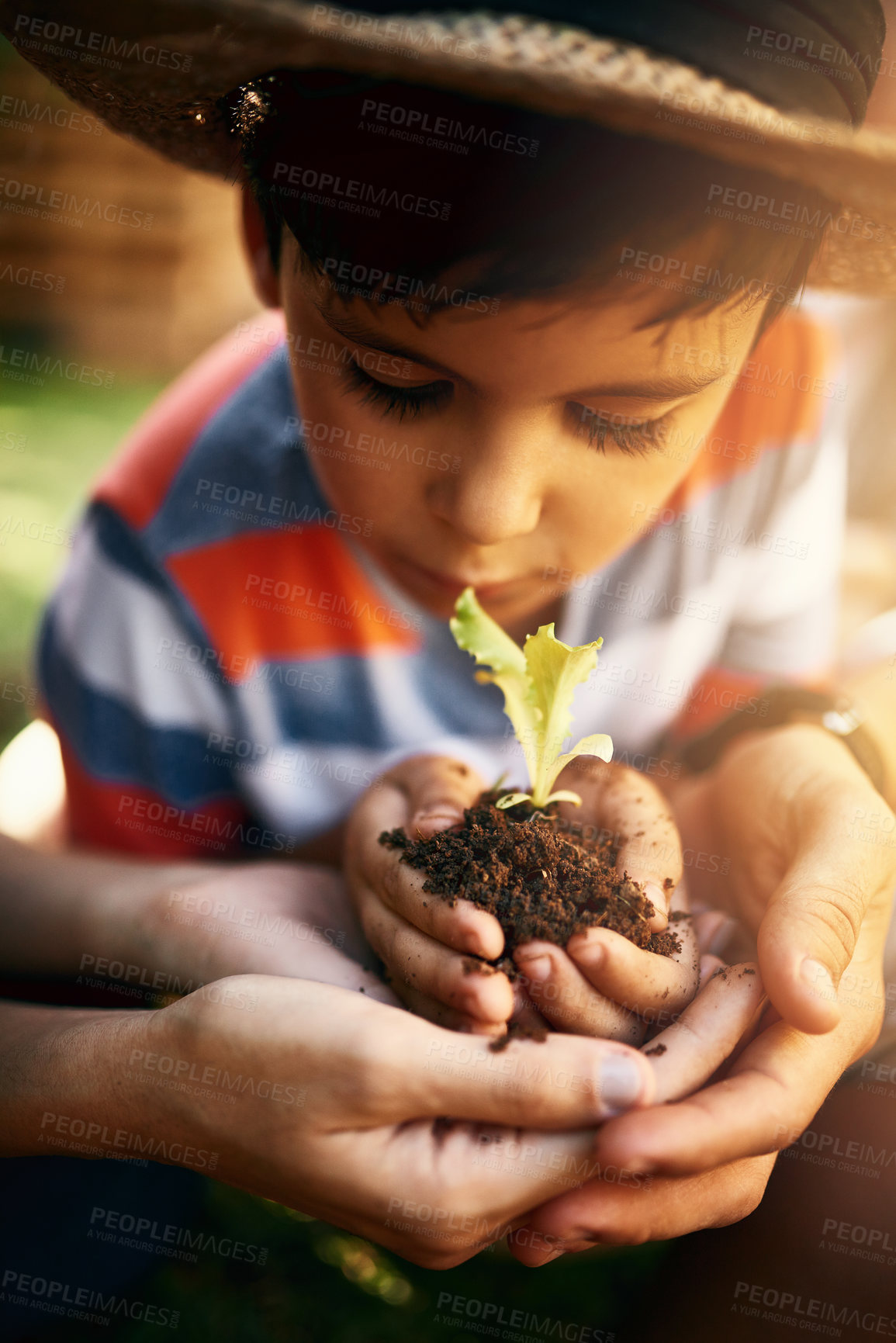Buy stock photo Hands of family, soil or kid with plant in garden for sustainability, agriculture care or farming development. Backyard, natural growth or parents hand holding sand or planting for teaching a child