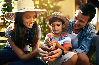 Buy stock photo Happy family, plants or parents with child in garden for sustainability, agriculture or farming development. Mother father or boy hands holding sand or planting for teaching a child farming skills 