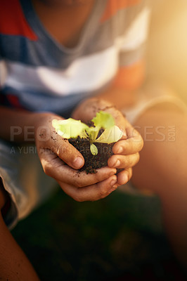 Buy stock photo Hands of kid, soil or learning to plant in garden for sustainability, agriculture care or farming development. Backyard, natural growth or closeup of child hand holding sand or planting for agro 