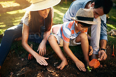 Buy stock photo Family learning with plants in garden for sustainability, agriculture and care outdoor. Father, mother or parents gardening with child in sand, soil and teaching kids of growth in natural environment