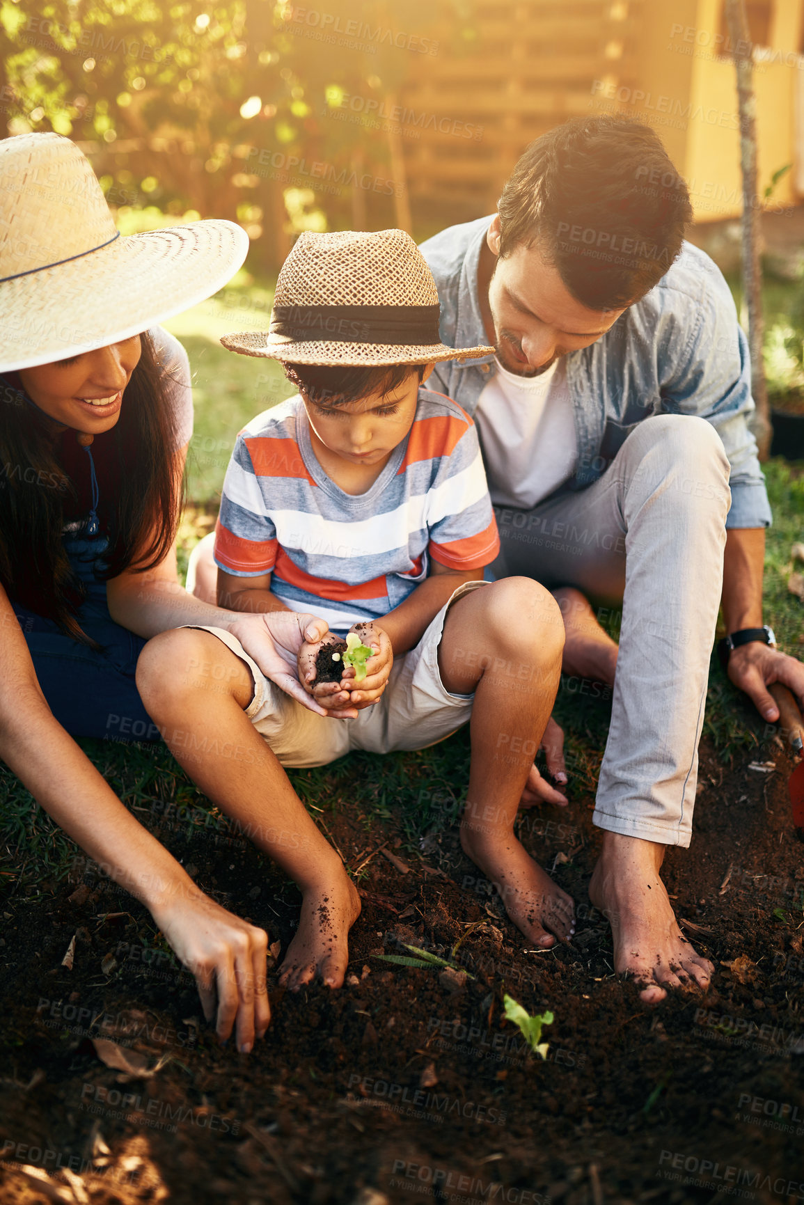 Buy stock photo Father, mother or child learning to plant in garden for sustainability, agriculture or farming as a family. Dad, mom or parents gardening, planting or teaching a boy agro growth in home environment 