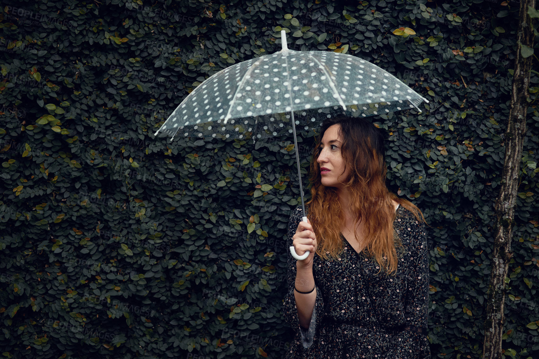 Buy stock photo Cropped shot of a beautiful young woman holding an umbrella outside